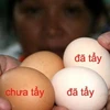 Trứng gà chuyển màu sau hai lần ngâm dung dịch axit. (Ảnh: nguồn Tuổi trẻ online)