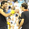 Del Potro và Federer tái đấu ở ATP World Tour Final 2009. (Ảnh: TT&VH)