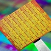 Nền tảng chip 48 lõi của Intel. (Ảnh: TT&VH)