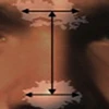 Hệ thống nhận dạng thông qua hình dạng của mũi nhanh chóng xác định chính xác thân phận đối tượng mục tiêu. (Ảnh: nguồn news.sky.com)