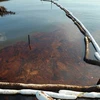 Quá trình khắc phục sự cố tràn dầu tại Vịnh Mexico tiếp tục bị gián đoạn. (Nguồn: Getty Images) 
