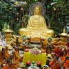 Các hòa thượng, tăng ni, Phật tử tịnh thiền dưới cội Bồ Đề-Thích Ca Phật Đài nhân lễ Vu lan 2009. (Ảnh: Kim Phương/TTXVN)
