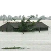 Cảnh ngập lụt ở xã Hạ Trạch, huyện Bố Trạch, Quảng Bình. (Ảnh: Đức Thọ/TTXVN) 