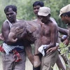 Chú voi con bị bỏ rơi được các nhân viên khu bảo tồn Odanthurai chăm sóc. (Nguồn: Thehindu.com)