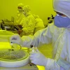 Sản xuất lõi IP bán dẫn tại phòng thí nghiệm thuộc ICDREC (Khu công nghệ cao TP Hồ Chí Minh). (Ảnh: Thế Anh/TTXVN)