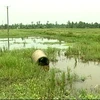 105ha đất nông nghiệp bị Công ty Sơn Trường phá nát, bỏ hoang. (Ảnh: Văn Đức/Vietnam+)