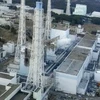 IAEA cho biết tình hình nhà máy điện hạt nhân Fukushima 1 không xấu thêm. (Nguồn: Reuters) 