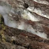 Hơi nước bốc lên từ miệng núi lửa Taal. Ảnh chụp tháng 1/2011. (Nguồn: AP)