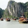 Tàu di lịch đưa khách tham quan Vịnh Hạ Long. (Nguồn: báo Quảng Ninh)