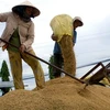 Thu hoạch lúa hè thu sớm tại xã Vĩnh Thuận Tây, huyện Vị Thủy, tỉnh Hậu Giang. (Ảnh: Duy Khương/TTXVN)