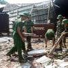 Lự lượng quân đội đóng tại địa phương giúp dân dọn dẹp cây cối, nhà cửa sau cơn lốc xoáy tại xã Long Bình. (Ảnh: Thu Hiền/TTXVN)