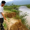 Bờ sông Krông Ana bị sạt lở đoạn qua thôn 2, xã Cư Kty. (Nguồn: Internet)