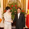 Thứ trưởng Bùi Thanh Sơn và Đại sứ Maeve Collins tại lễ trao Huân chương. (Ảnh: Phương Hoa/TTXVN)