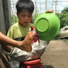 Cậu bé “chim cánh cụt” Hồ Hữu Hạnh giúp mẹ rửa bát đĩa. (Nguồn: báo Dân trí) 