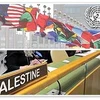 Palestine đang tìm kiếm một ghế thành viên chính thức ở Liên hợp quốc. (Nguồn: Internet)