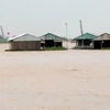 Nước lũ dâng nhanh trên sông Tiền qua tỉnh Đồng Tháp. (Nguồn: congly.com.vn)