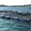 Lồng nuôi cá trên biển ở Kiên Giang. (Nguồn: monre.gov.vn)