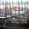 Tàu thuyền tập kết tại âu thuyền để tránh bão số 5 ở Quảng Ninh. (Ảnh: Văn Đức/Vietnam+)