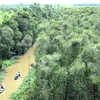 Một góc khu rừng Tràm Gáo Giồng, Đồng Tháp. (Ảnh: Đình Huệ/TTXVN)