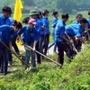 Thanh niên tình nguyện làm vệ sinh môi trường nông thôn. (Nguồn: TTXVN)