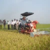 Thu hoạch lúa trên cánh đồng lúa giống ở xã Hòa Tiến, Đà Nẵng. (Nguồn: nongnghiep.vn)