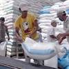 Bốc xếp gạo xuất khẩu tại Xí nghiệp chế biến lương thực Cầu Kè, huyện Cầu Kè, tỉnh Trà Vinh. (Ảnh: Duy Khương/TTXVN)