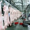 Dây chuyền chế biến thịt lợn của công ty VISSAN. (Nguồn: daidoanket.vn)