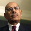 Cựu Tổng Giám đốc IAEA, Mohamed El-Baradei. (Nguồn: Getty Images)