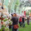 Khách tham quan Hội hoa Xuân Tân Mão 2011 ở Thành phố Hồ Chí Minh. (Ảnh: Hoàng Hải/TTXVN)
