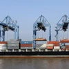Xếp, dỡ hàng xuất nhập khẩu tại cảng Cát Lái-Thành phố Hồ Chí Minh. (Ảnh: Thanh Vũ/TTXVN)