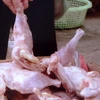 Thịt gà đông lạnh không rõ nguồn gốc. Ảnh minh họa. (Nguồn: Internet)