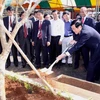 Chủ tịch nước Trương Tấn Sang trồng cây mở đầu Năm Đoàn kết hữu nghị Lào-Việt. (Ảnh: Hoàng Chương/Vietnam+)