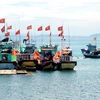 Tàu cá ở huyện đảo Lý Sơn. (Nguồn: Internet)