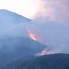 Cháy rừng ở rừng đặc dụng Nam Hải Vân. (Nguồn: TTXVN)