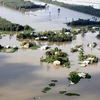 Lũ lụt ở Đồng bằng sông Cửu Long tháng 10/2011. (Nguồn: TTXVN)