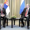 Tổng thống Nga Vladimir Putin (phải) gặp Tổng thống Serbia Tomislav Nikolic ở Mátxcơva. (Nguồn: RIA Novosti)