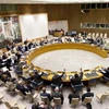 Phiên họp toàn thể của Hội đồng Bảo an Liên hợp quốc. (Nguồn: UN Photo)