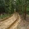 Con đường bảo vệ rừng bị xe chở gỗ cày nát. (Nguồn: tintucplus.vn)