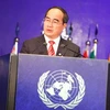 Phó Thủ tướng Nguyễn Thiện Nhân phát biểu tại Hội nghị Rio+20. (Ảnh: Từ Lương/Vietnam+)