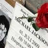 Một bông hồng tưởng nhớ Vua nhạc Pop, Michael Jackson. (Nguồn: Internet)