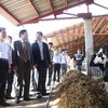 Phó Thủ tướng Vũ Văn Ninh thăm Công ty Đà Lạt Milk (huyện Đơn Dương). (Ảnh: Đăng Tuấn/TTXVN)