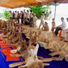 Các đoạn xương cá voi trước khi được phục dựng. (Nguồn: cand.com.vn)