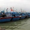 Tàu thuyền của ngư dân Bình Định, Quảng Ngãi, Nghệ An đang neo đậu, tránh bão số 8 tại cảng cá Cửa Hội (Nghệ An). (Ảnh: Nguyễn Văn Nhật/TTXVN)