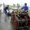 Công nhân ngành thủy lợi kiểm tra cống CT3 tại xã Kim Đông (huyện Kim Sơn), trưa 28/10, trong điều kiện gió bão đang mạnh lên. (Ảnh: Thế Duyệt/TTXVN)