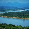 Một đoạn sông Mekong.
