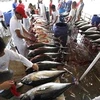 Một cơ sở sơ chế cá ở Indonesia. (Nguồn: AP)
