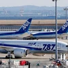Hãng hàng không toàn Nhật Bản (ANA) sẽ hủy 88 chuyến bay do sự cố máy bay Boeing 787 Dreamliner. (Nguồn: AP)