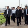 Chủ tịch nước Trương Tấn Sang thăm cánh đồng hoa của xã Tây Tựu. (Ảnh: Nguyễn Khang/TTXVN)