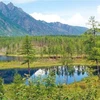 Khu bảo tồn thiên nhiên Amur của Nga. (Nguồn: russiatrek.org)