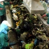 Hệ thống băng chuyền xử lý rác thải của Nhà máy xử lý chất thải Tràng Cát-Hải Phòng. (Ảnh: Trần Tuấn/TTXVN)